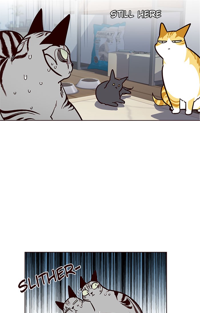 Eleceed, Chapter 37 image 40