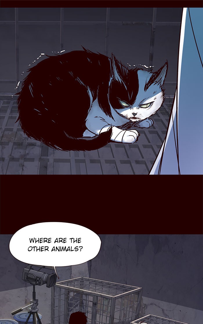 Eleceed, Chapter 36 image 010