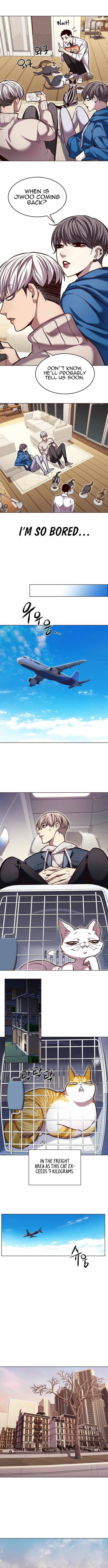 Eleceed, Chapter 231 image 06
