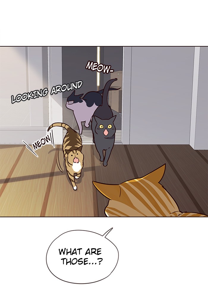 Eleceed, Chapter 6 image 62