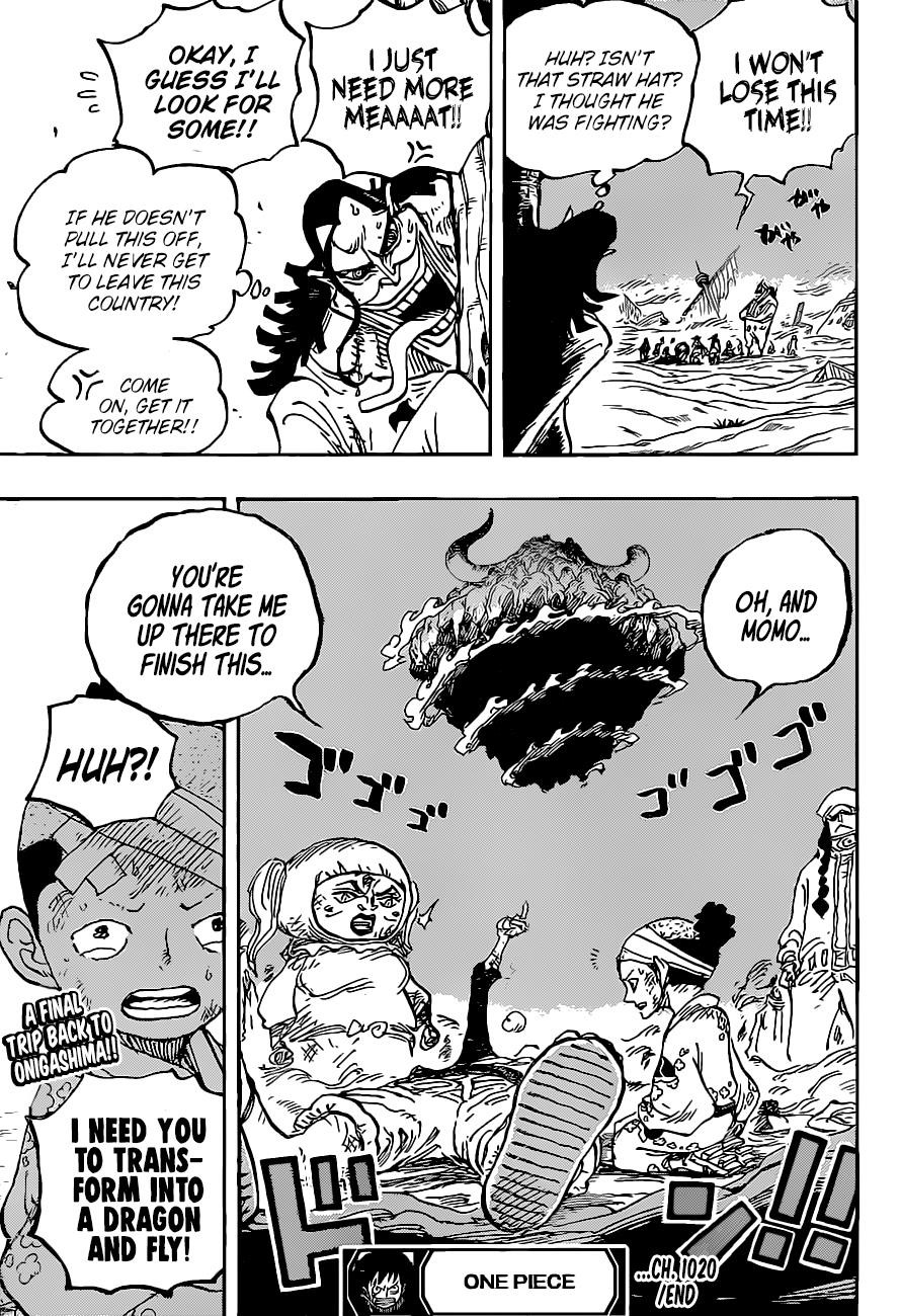 One Piece, Chapter 1020 image 17