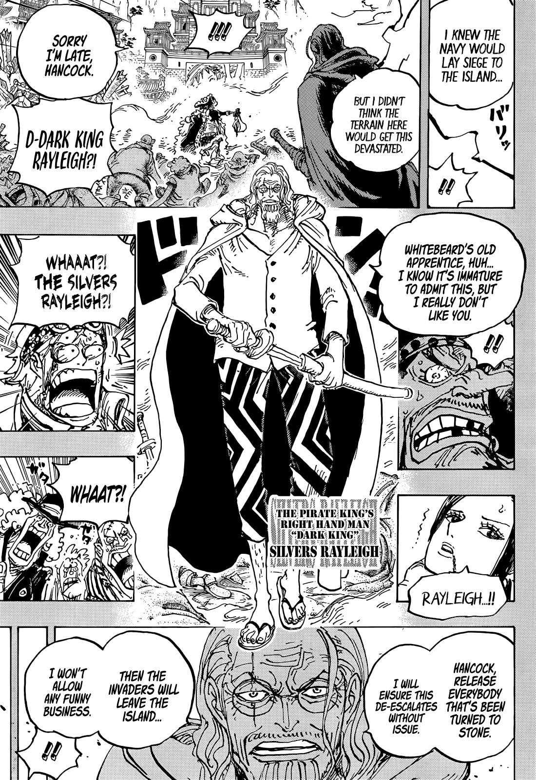 One Piece, Chapter 1059 image 14