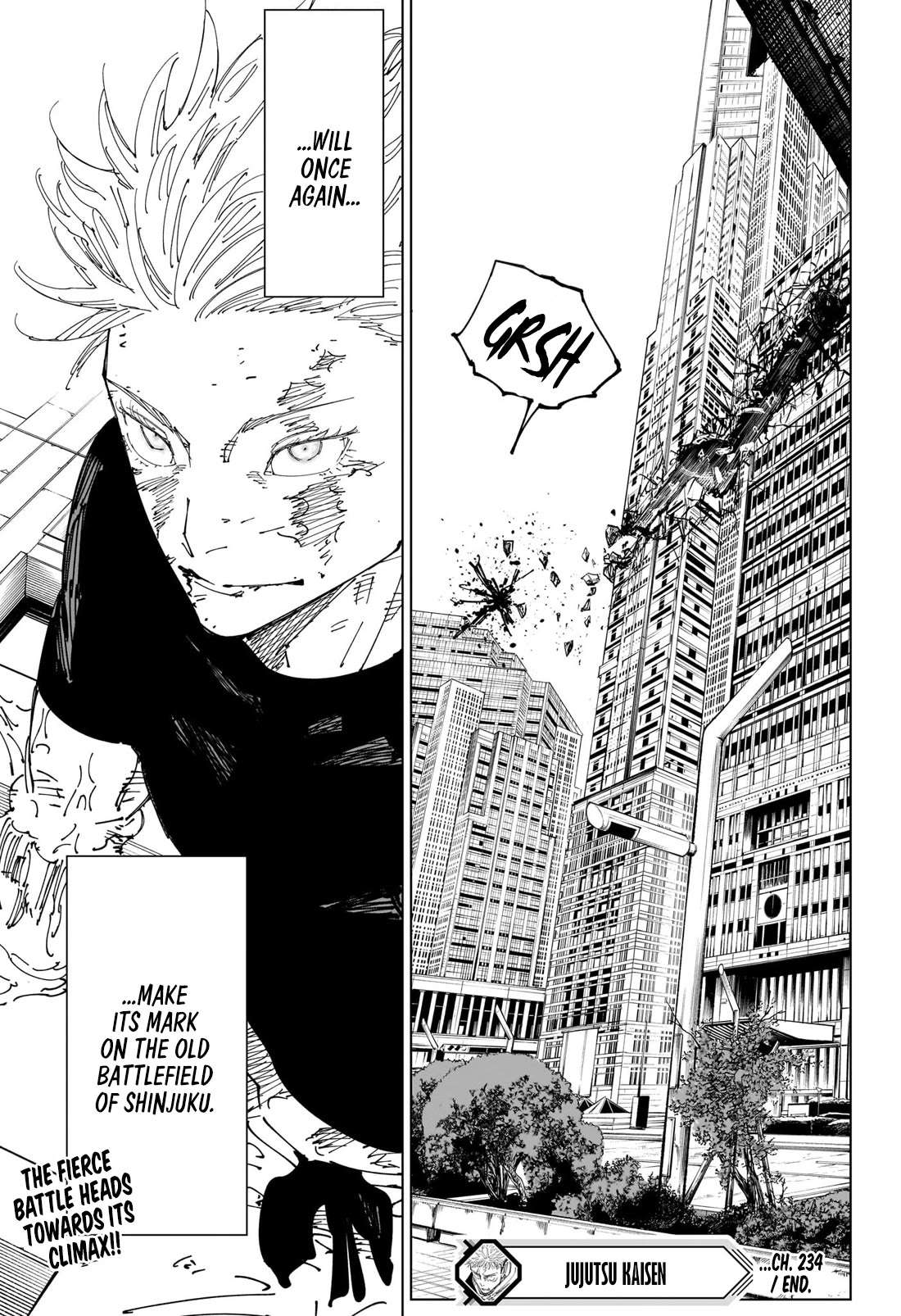 Jujutsu Kaisen, Chapter 234 image 19