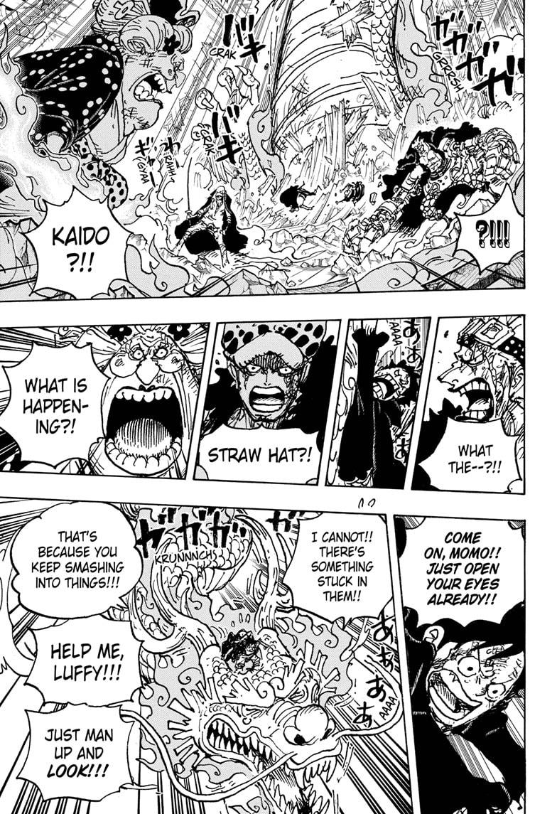 One Piece, Chapter 1025 image 10