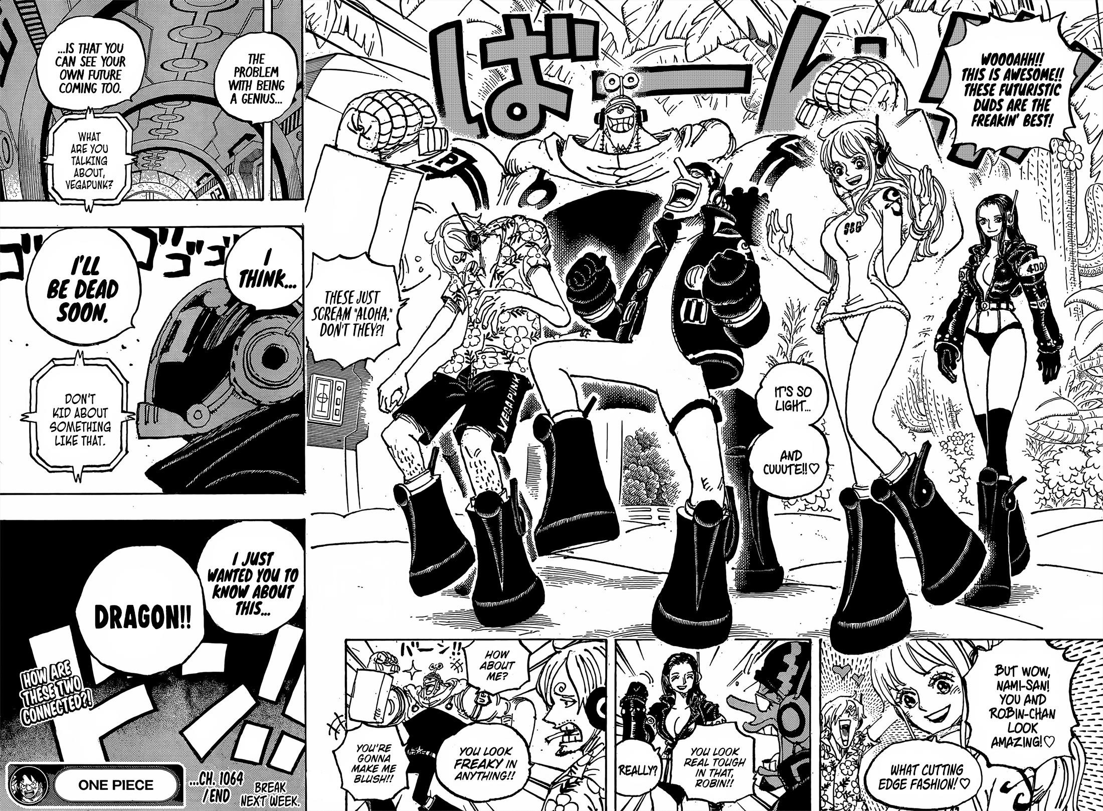 One Piece, Chapter 1064 image 14