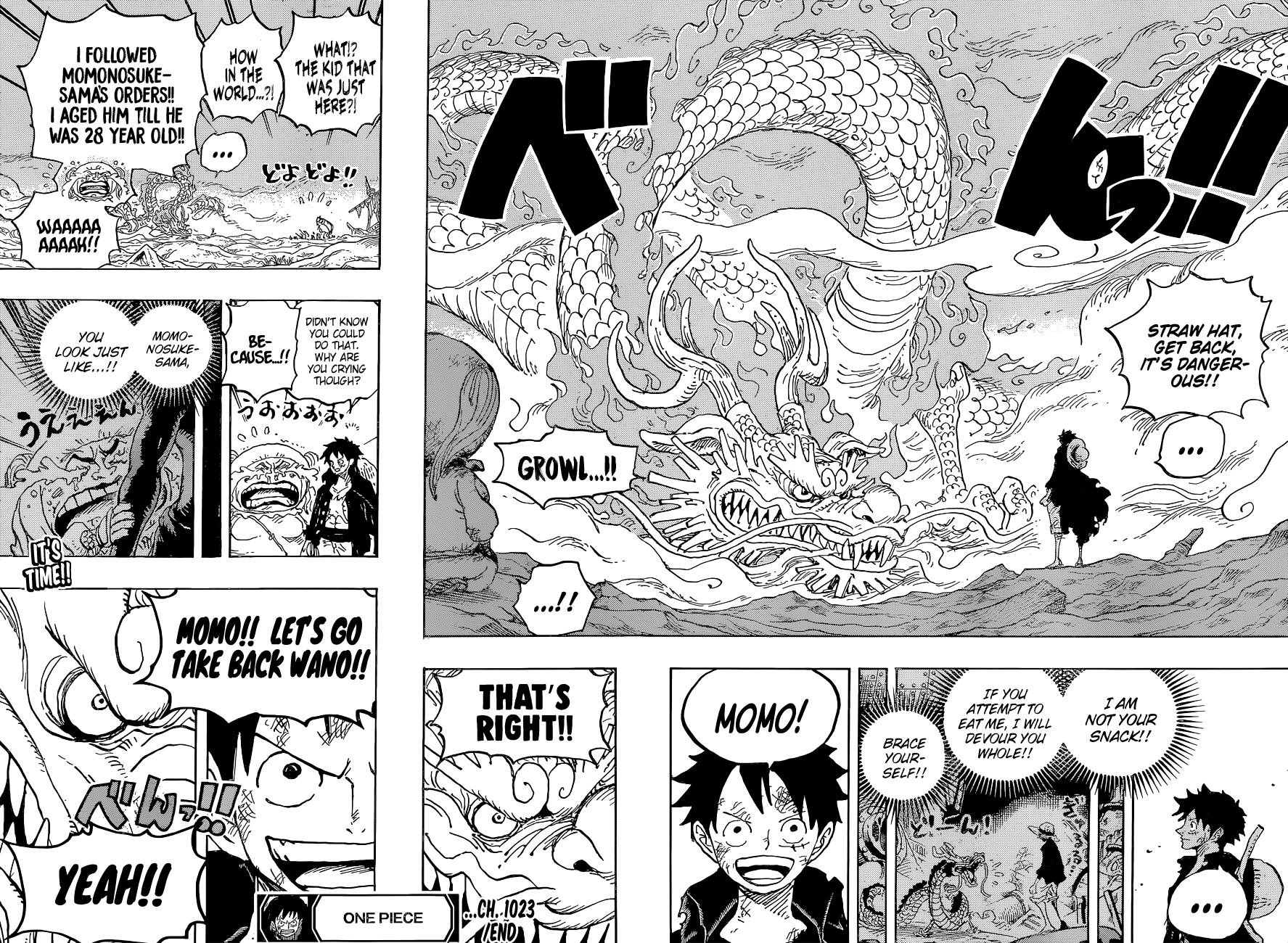 One Piece, Chapter 1023 image 17