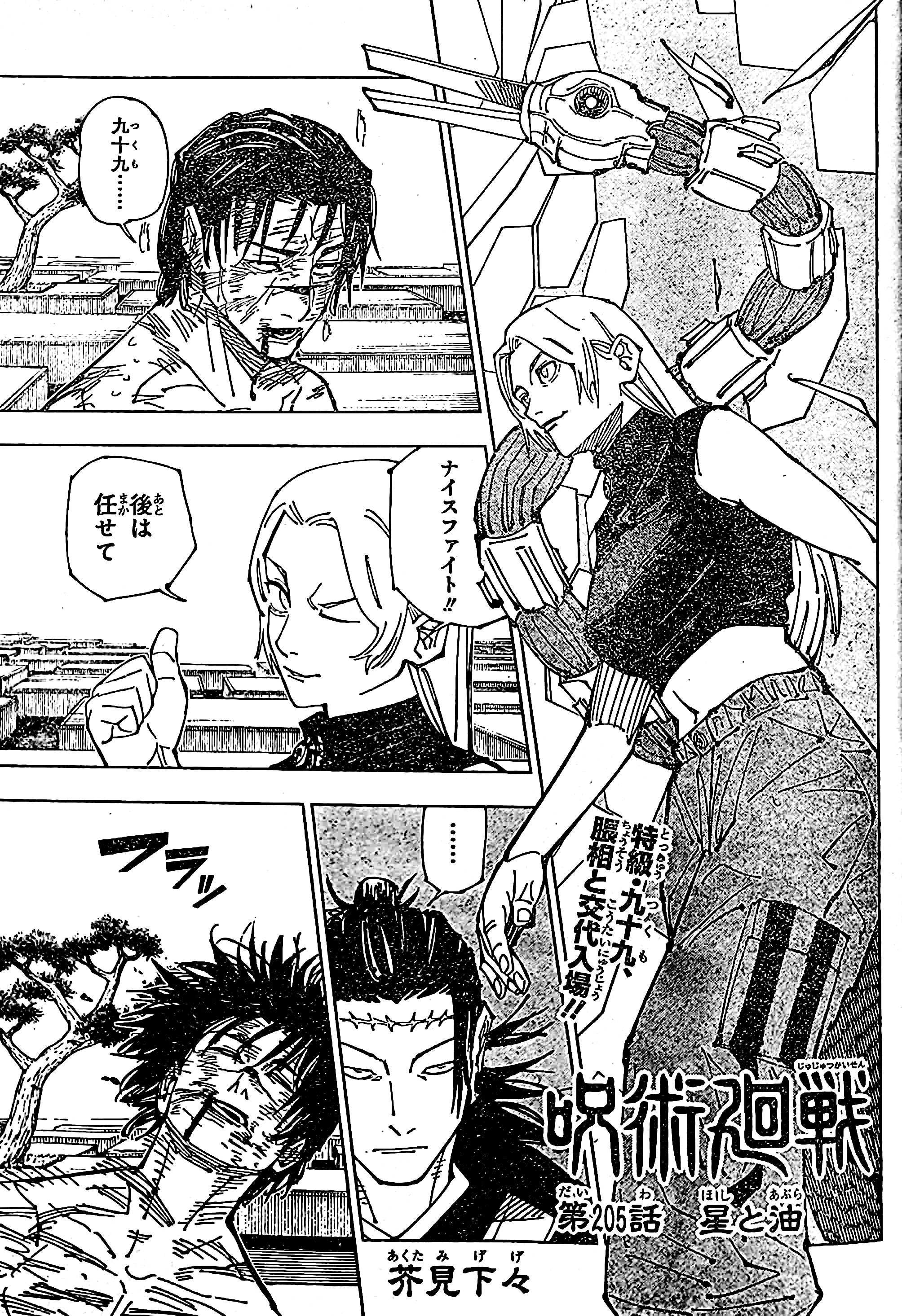 Jujutsu Kaisen, Chapter 205 image 02