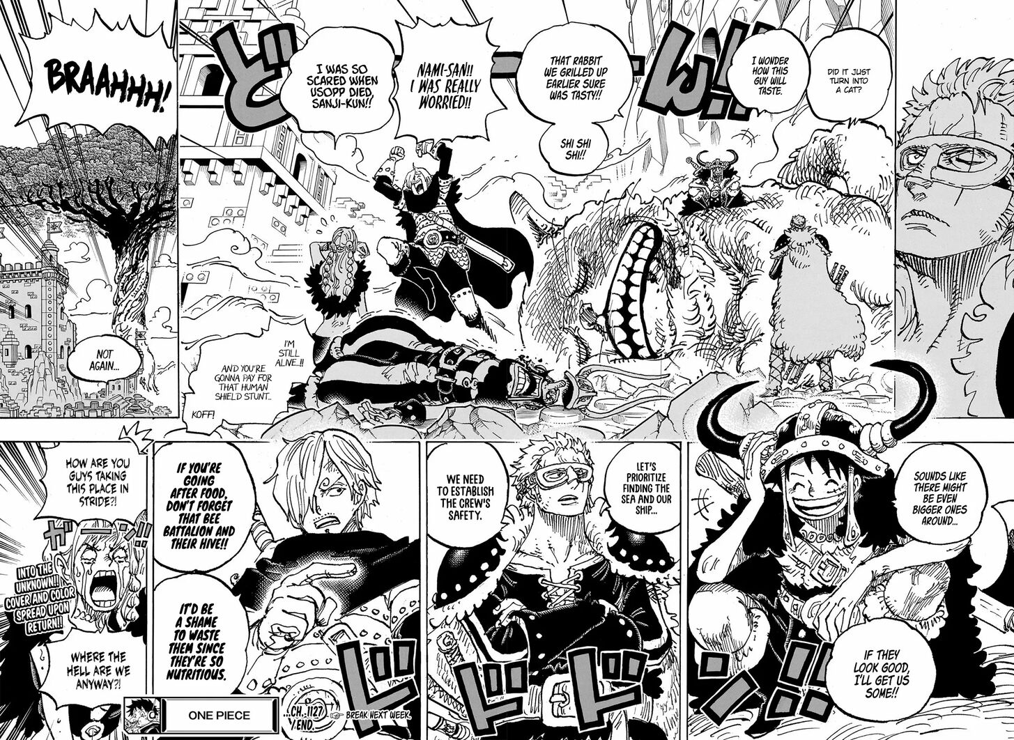 One Piece, Chapter 1127 image 13