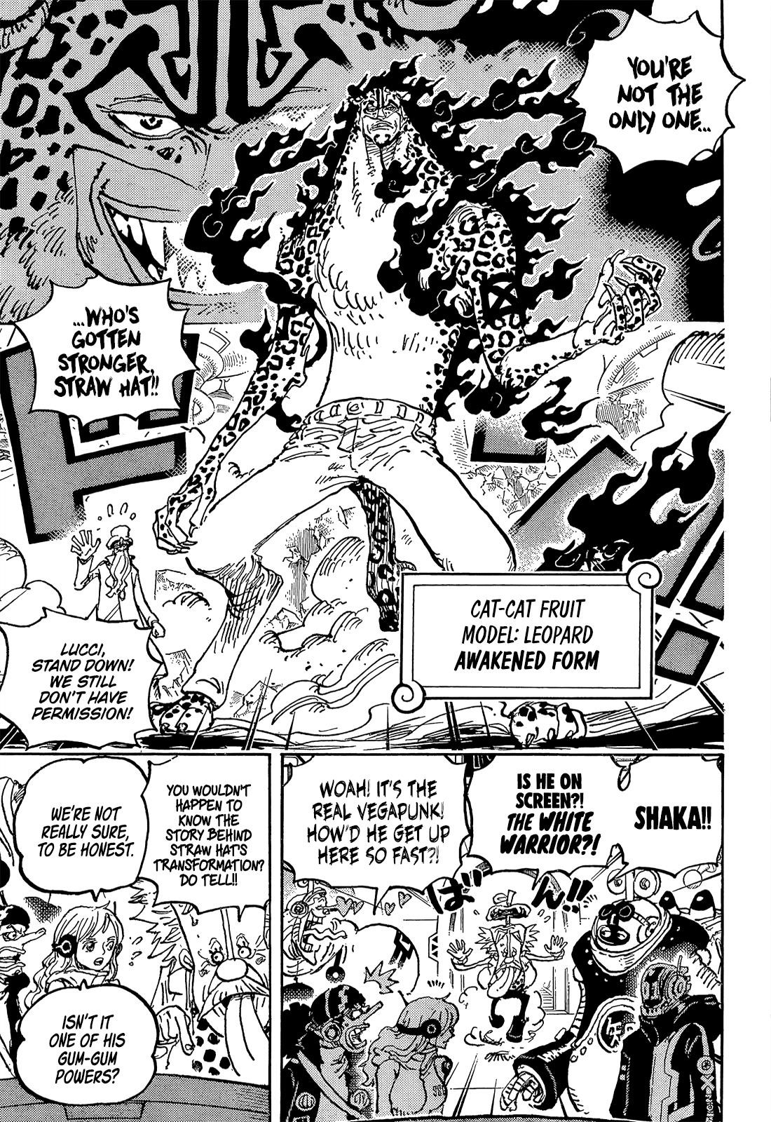 One Piece, Chapter 1069 image 07