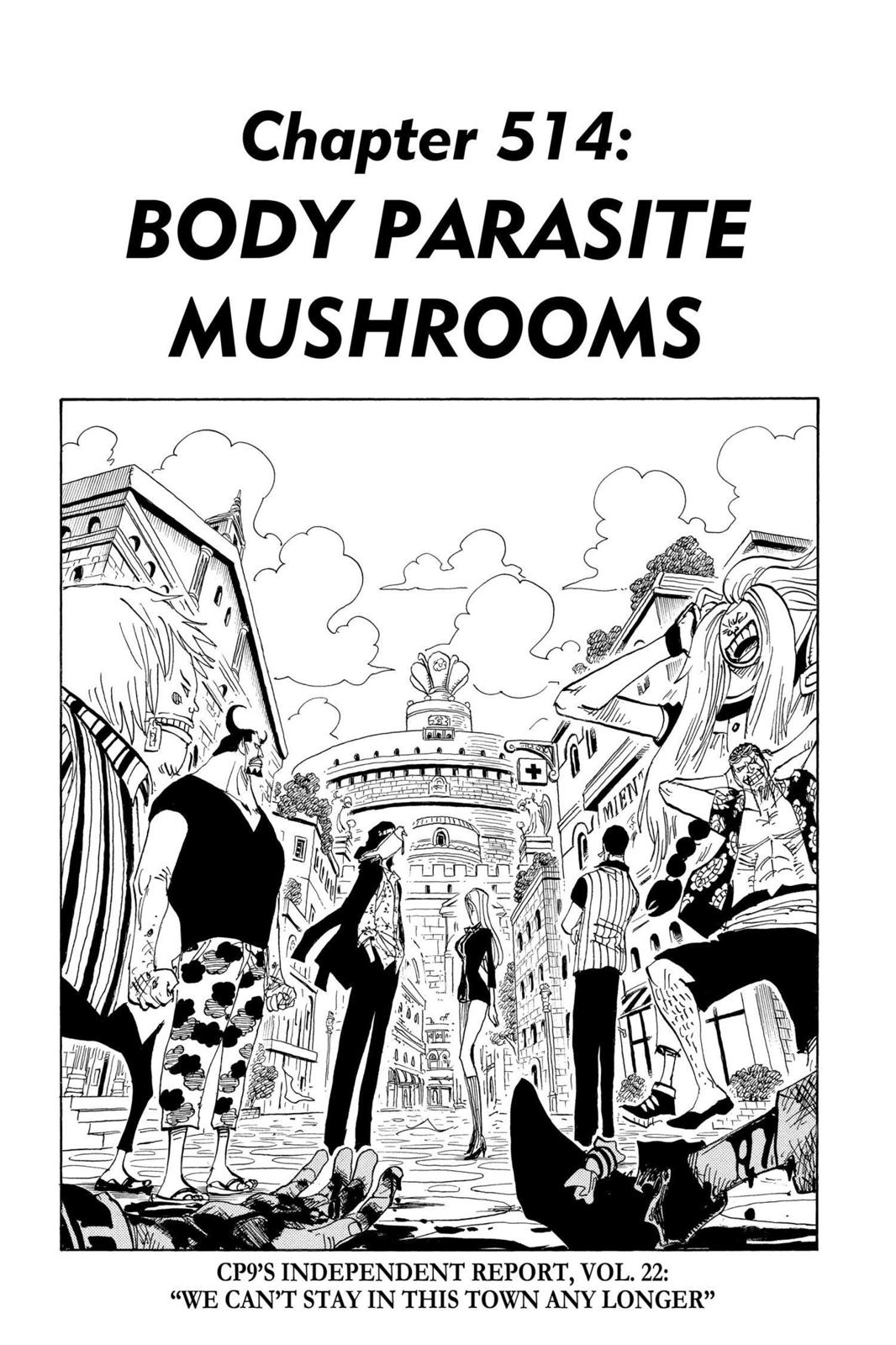 One Piece, Chapter 514 image 01