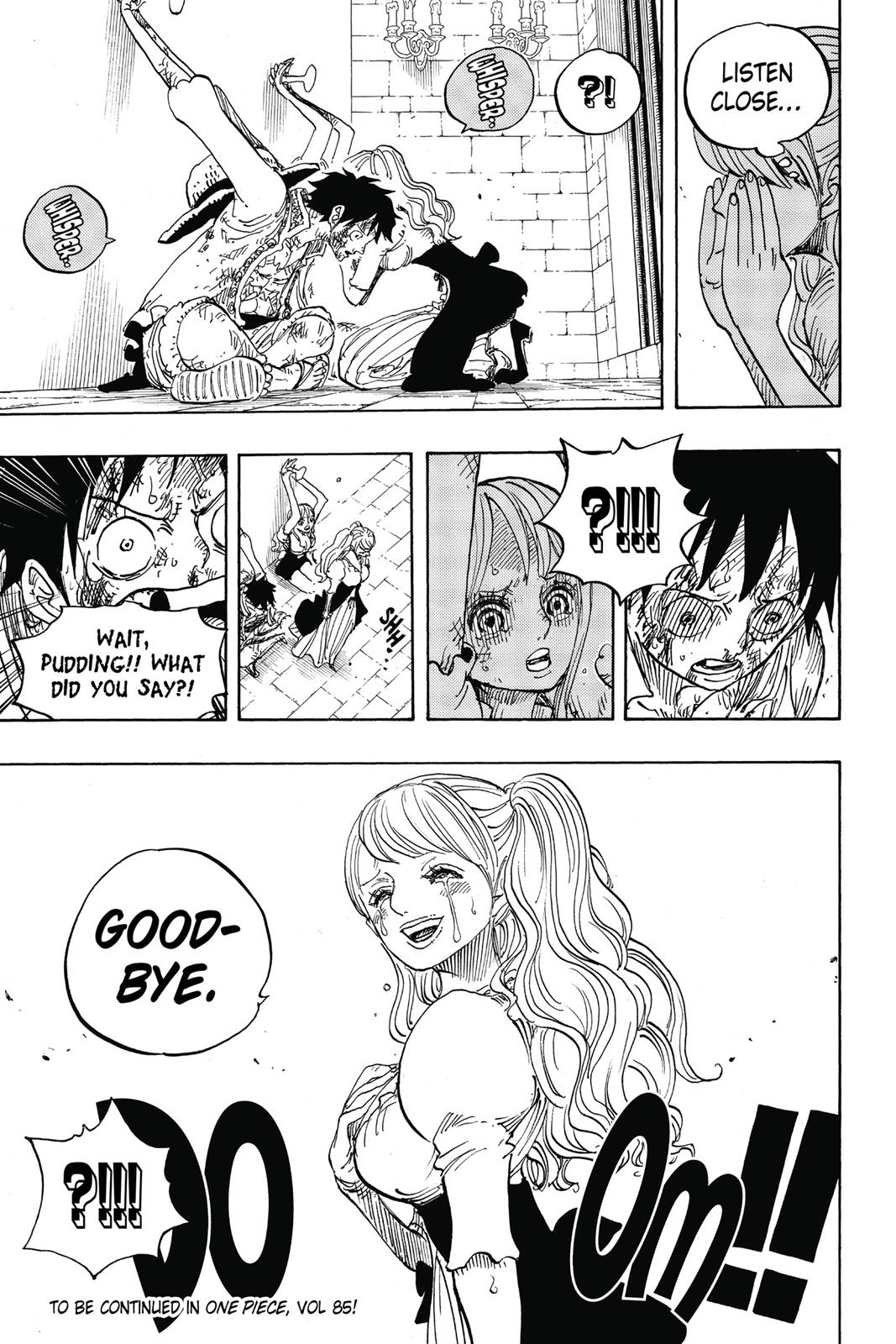 One Piece, Chapter 848 image 18