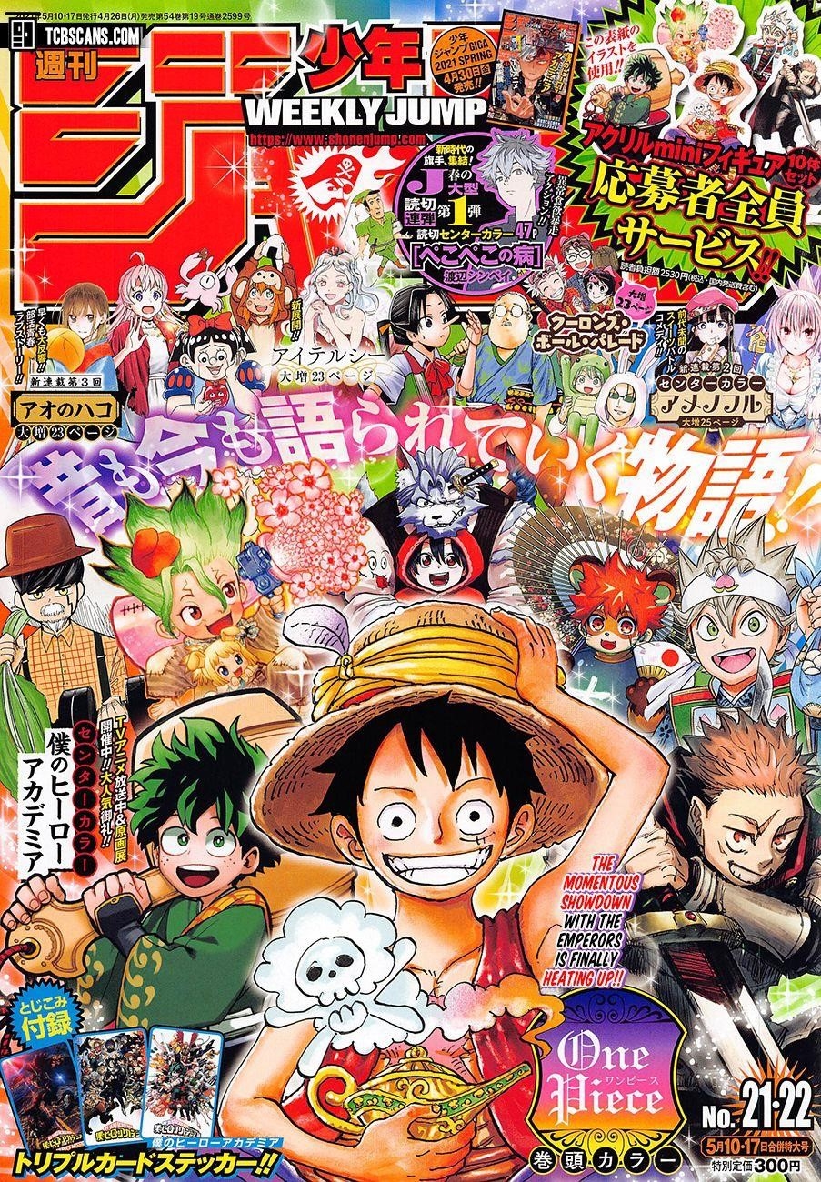 One Piece, Chapter 1011 image 01