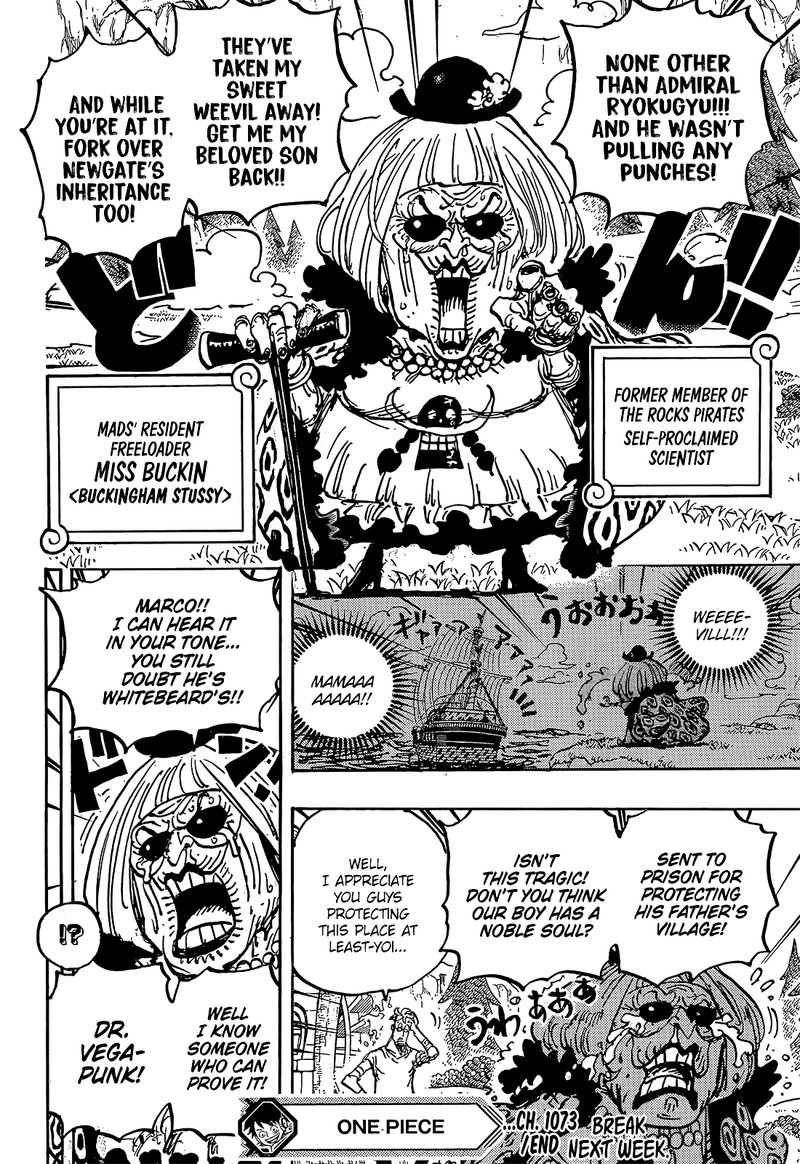 One Piece, Chapter 1073 image 14