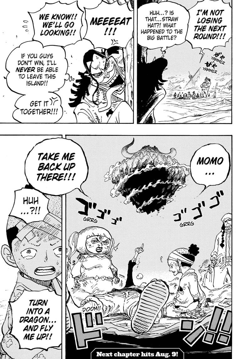One Piece, Chapter 1020 image 17