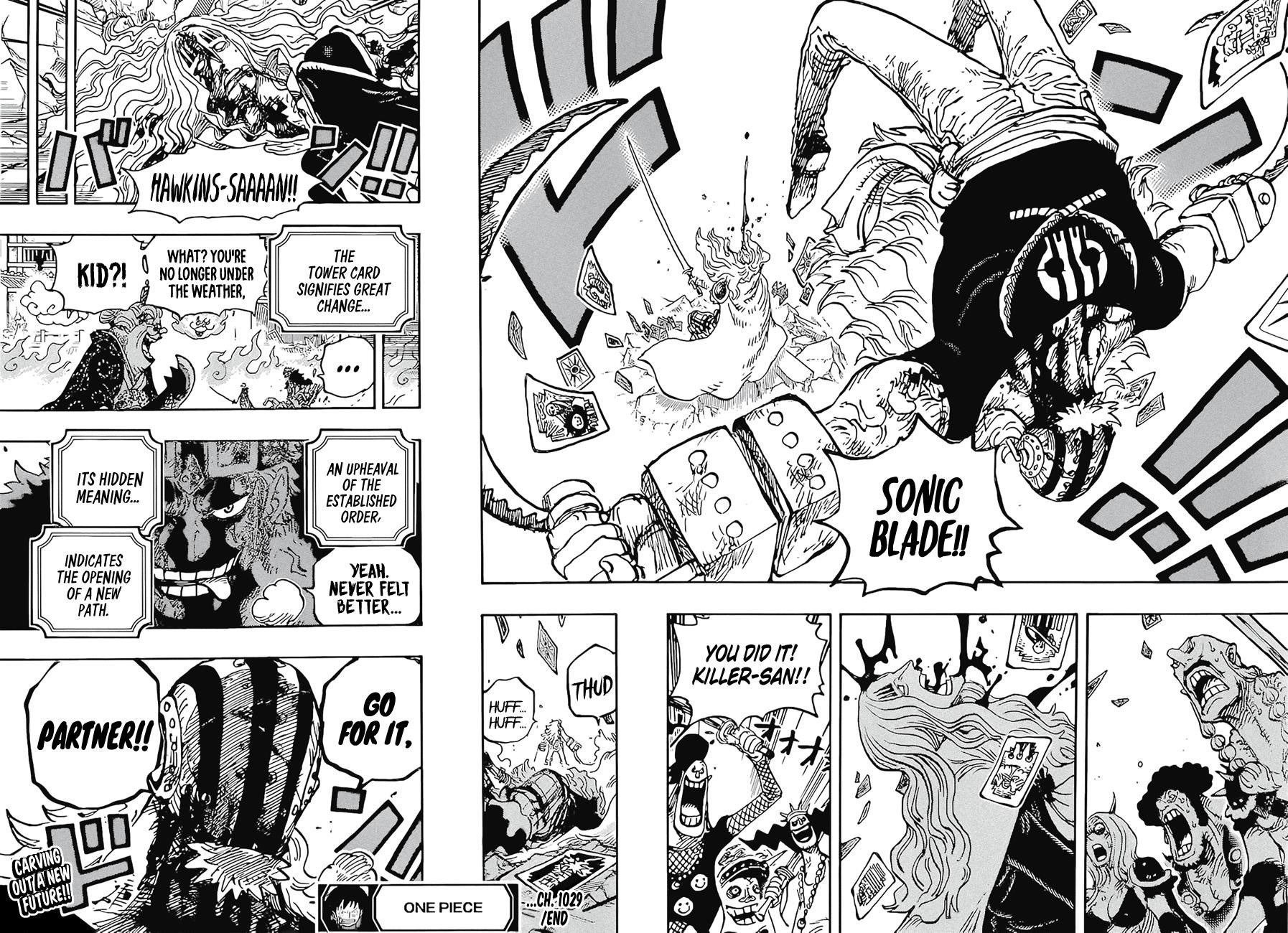 One Piece, Chapter 1029 image 14