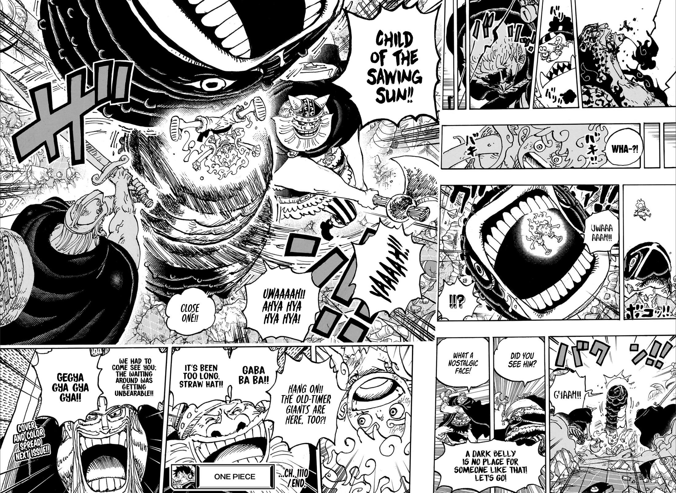 One Piece, Chapter 1110 image 12