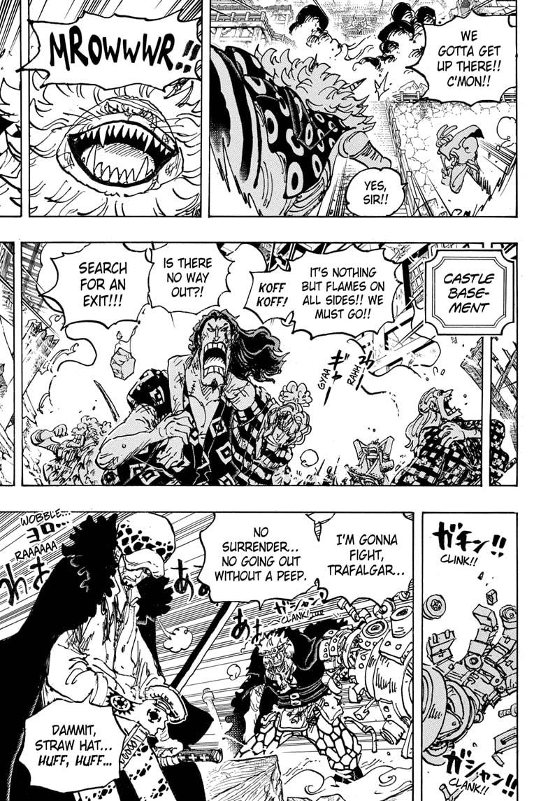 One Piece, Chapter 1043 image 11