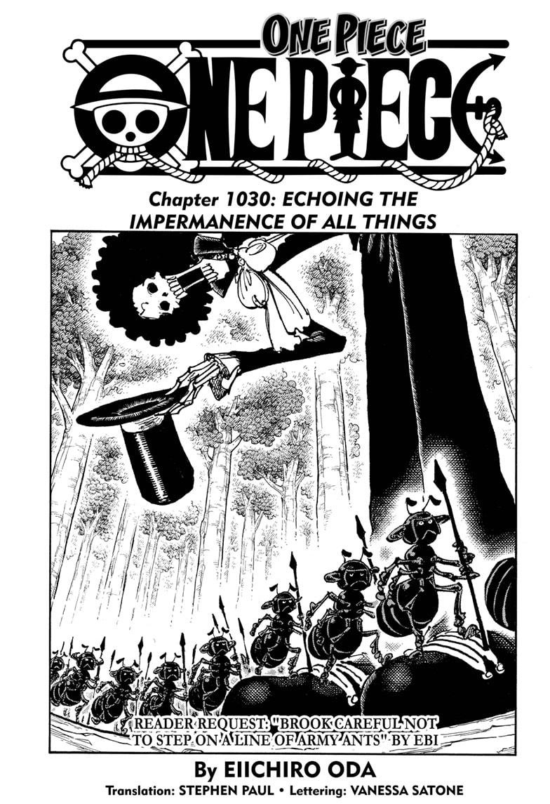 One Piece, Chapter 1030 image 01