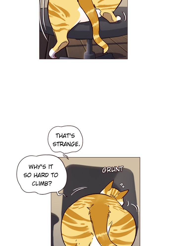 Eleceed, Chapter 1 image 096
