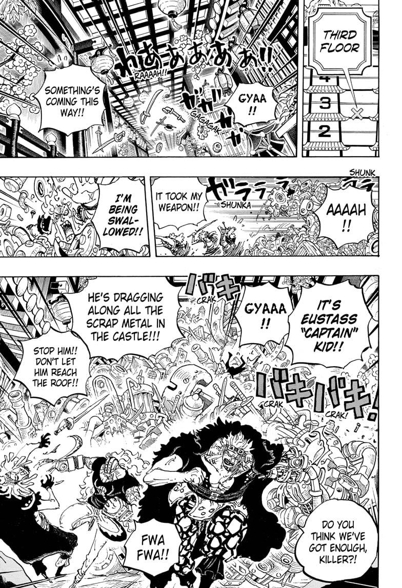 One Piece, Chapter 996 image 13